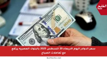 سعر الدولار اليوم الأربعاء 20 أغسطس 2025 بالبنوك المصرية يرتفع مع تعاملات الصباح